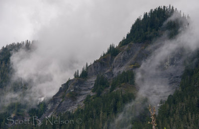 Mt Rainier National Park Clouds