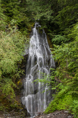 Mt Rainier National Park Falls