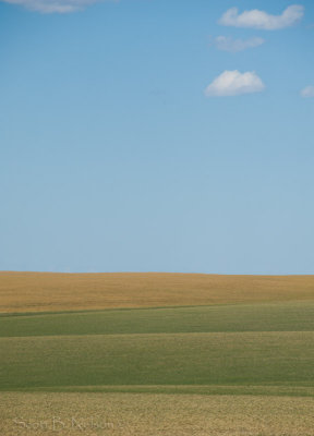 Fields Eastern Washington