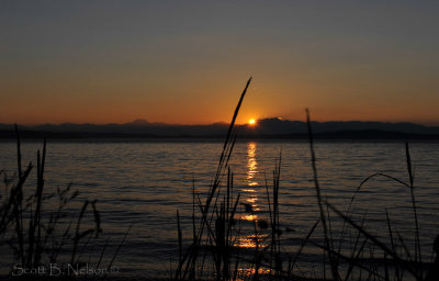 Lincoln Park, West Seattle 3