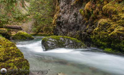 Lower Gray Wolf River