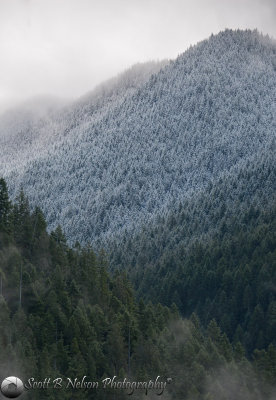 Gray Wolf River Snow Line