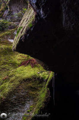 Mossy Rocks