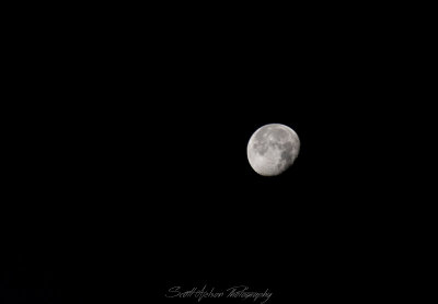 Moon at Sea