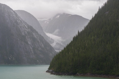 Tracy Arm Alaska Cut