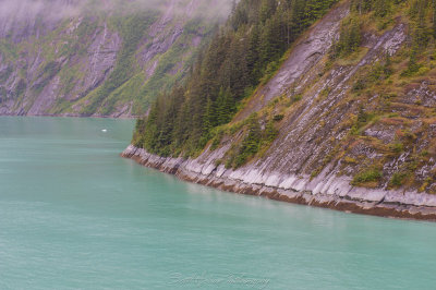 Tracy Arm Alaska Waterline