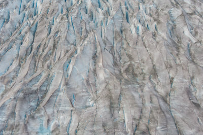 Taku Glacier Mid Face