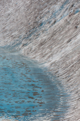 Taku Glacier Shoreline
