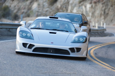 Saleen