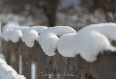 Snow Capped