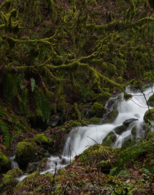 Multnomah Falls, Stream