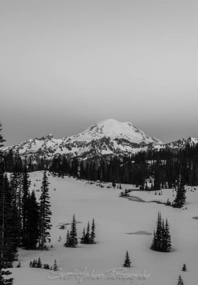 Mt Rainier at the Blue Hour Black and White II