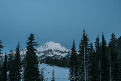 Mt Rainier at the Blue Hour