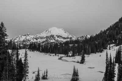 Mt Rainier at the Blue Hour Black and White