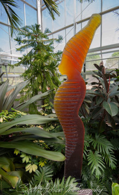 Daniel Stowe Botanical Gardens Glass Sculpture