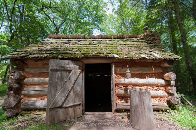 Backwoods Cabin