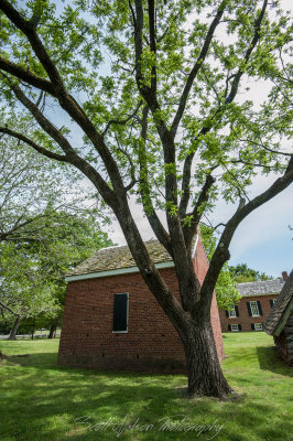 Brick Kitchen and Walnut Tree