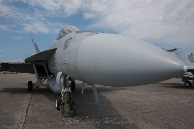 Nose and Gear