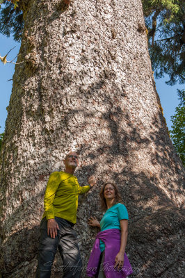 Kevin and Maria at the Worlds Largest Spruce
