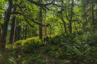 Hiking Thru Paradise