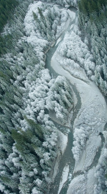 Frosted River and Trees