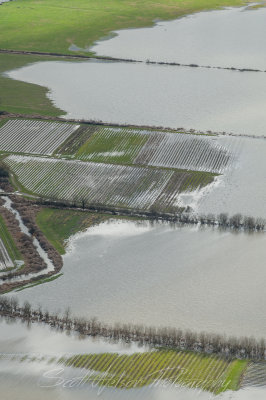 Flooding at Duval