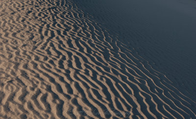 Death Valley Mesquite Flat Sand Dune Fading to Shadows