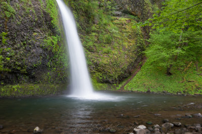 Horsetail Falls Surrounding Water and Plants