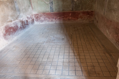 Floor Mosaic