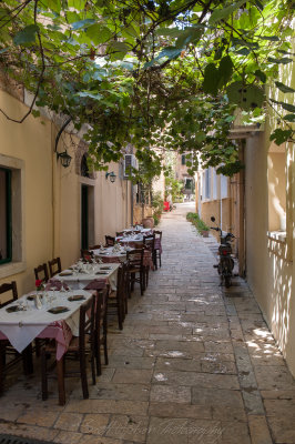 Tables and Grape Vines