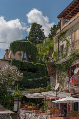 Taormina Vines