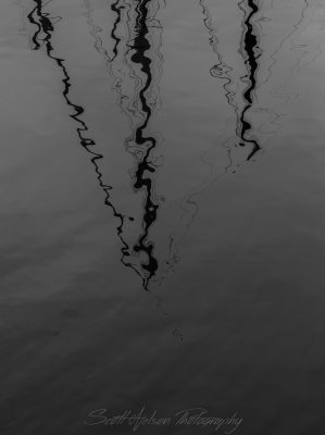 Reflection