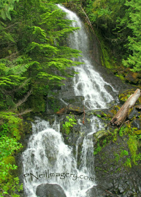 Waterfall Rainer Road
