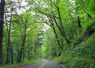 Oregon Falls Road