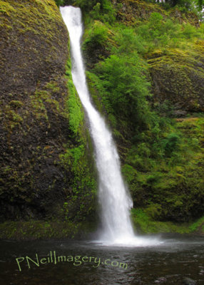 Oregon Horsetail Falls(1)