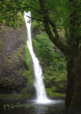 Oregon Horsetail Falls