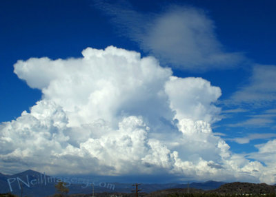 AugustThunderheads