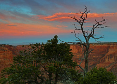 AZ Canyon