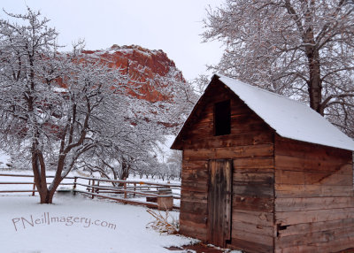 Snow Shack