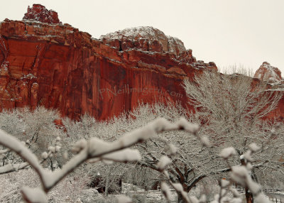 Fresh Snow Red Rocks