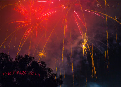 4thJulyRoseBowl2015 G92A4141.jpg
