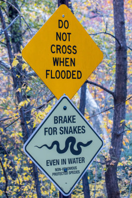 Snake Crossing 