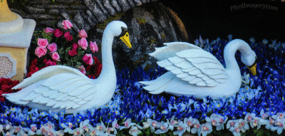 Floral Swans IMG_0764.jpg