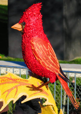 Floral Cardinal IMG_0844.jpg