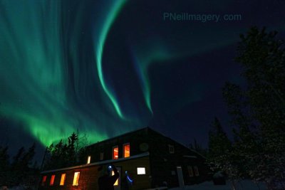 Aurora's 11