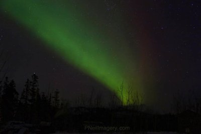 Aurora's 9