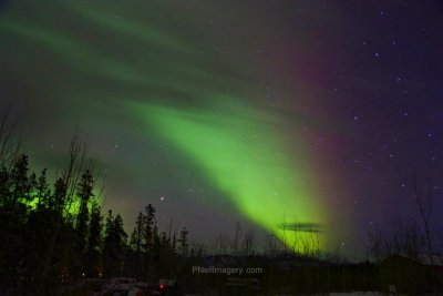 Aurora's 5