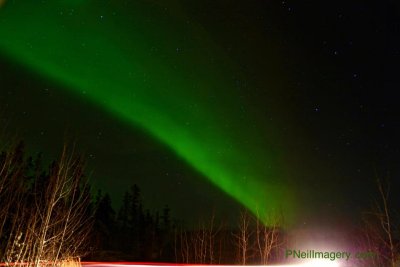 Aurora's 2