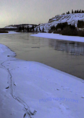 Yukon River Whitehorse 