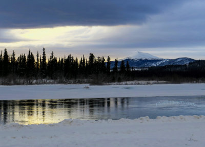 Whitehorse Views